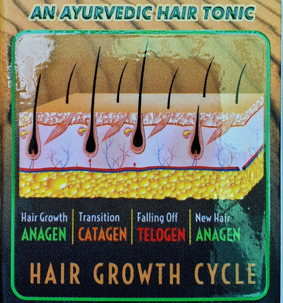 Hair growth Stages - Ayurvedic tonic